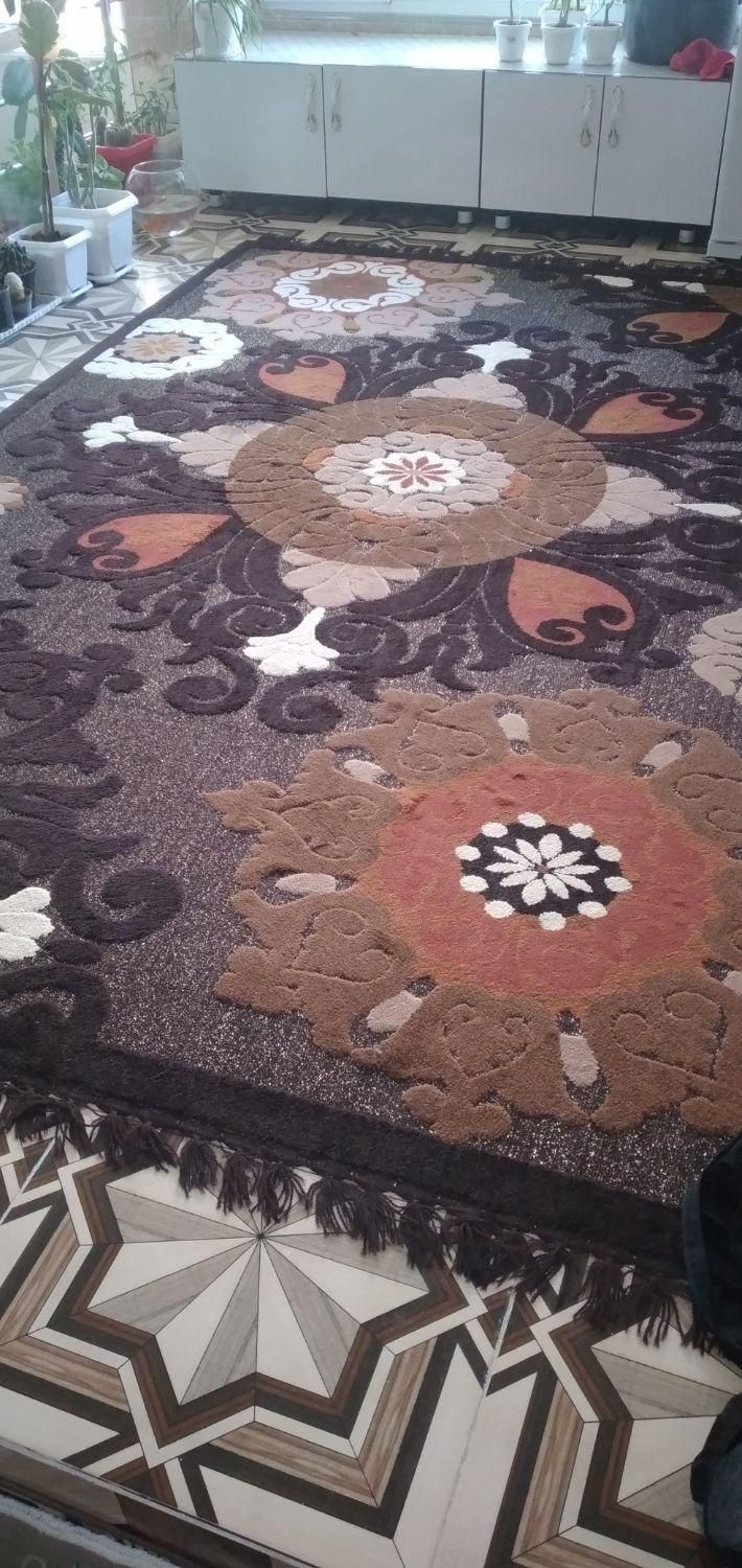 گلیم|گلیم، جاجیم، گبه|سرپل ذهاب, |دیوار