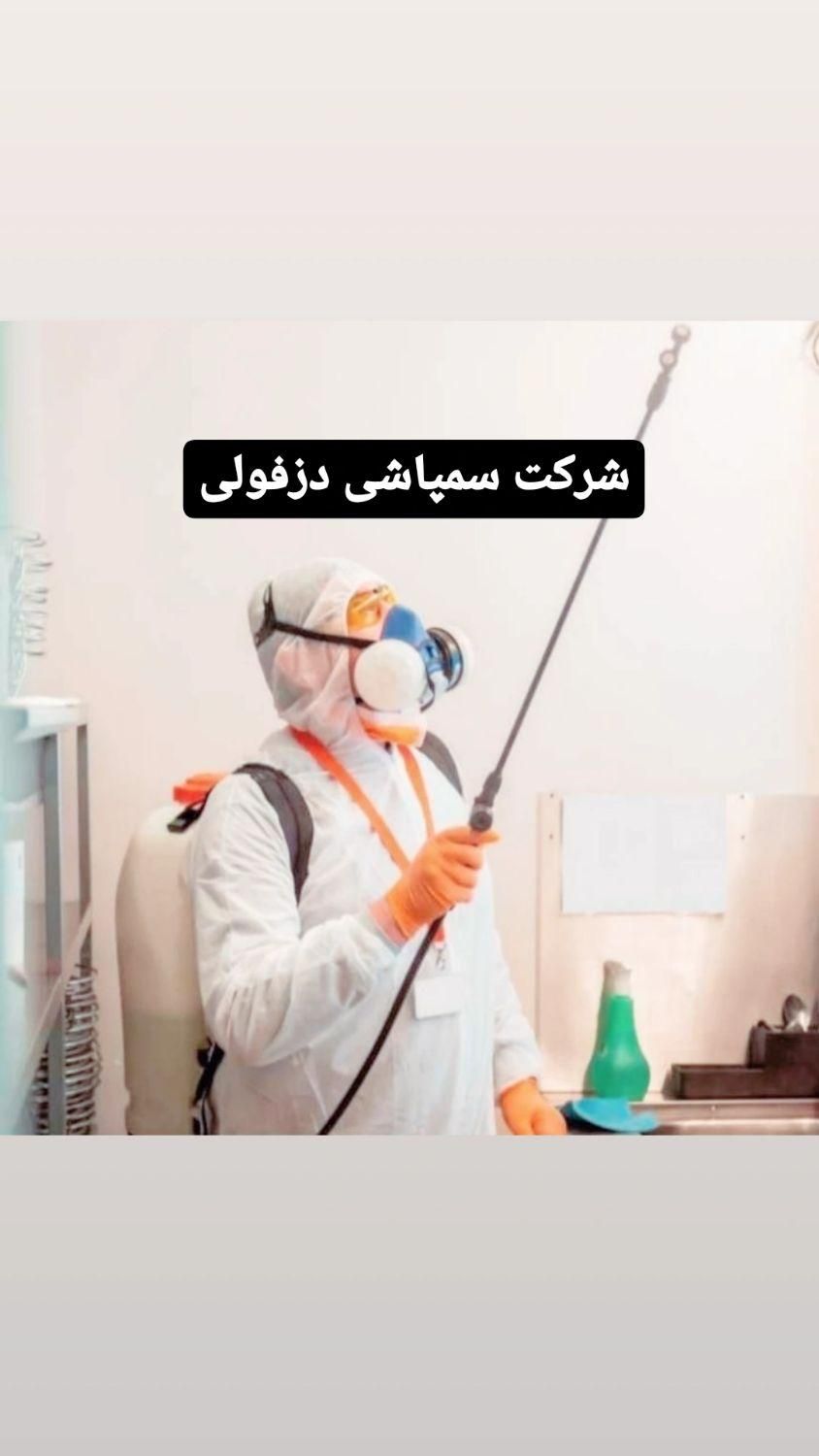 شرکت سمپاشی موریانه ساس کک سوسک ضمانتی بامجوز رسمی|خدمات نظافت|دزفول, |دیوار