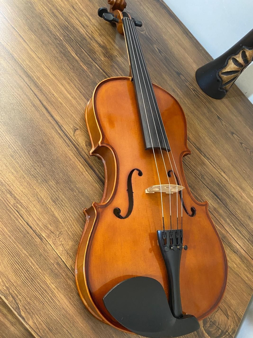 ویولاViola|ویولن|شیراز, باغ تخت|دیوار