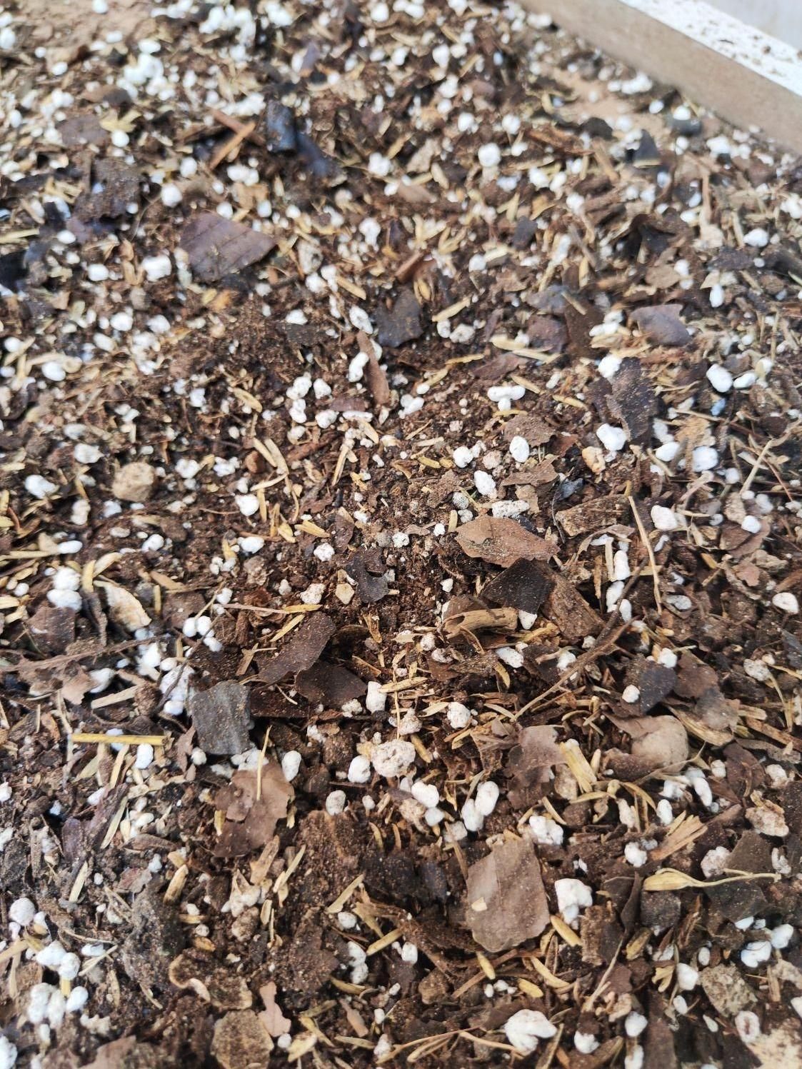 خاک خاکبرگ گلدان گل گیاه آپارتمانی کیسه گونی ورمی|گل و گیاه طبیعی|قم, نیروگاه|دیوار