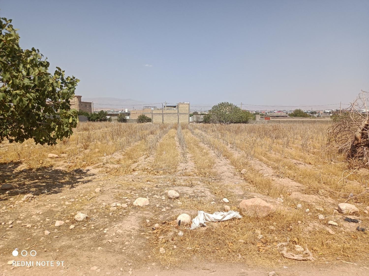 فروش زمین بعد از شاپورجان روستای حسن آباد|فروش زمین و ملک کلنگی|شیراز, میانرود|دیوار