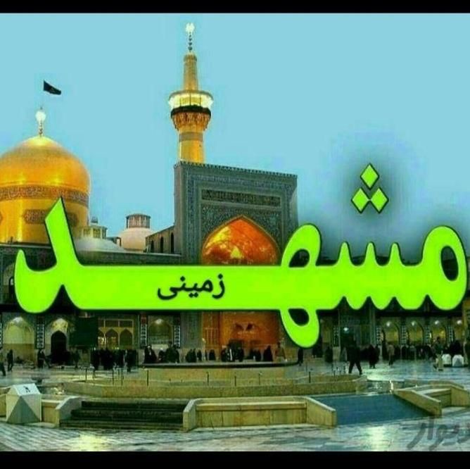 تور زیارتی مشهدمقدس(نقوی نیا)|تور و چارتر|اردبیل, |دیوار