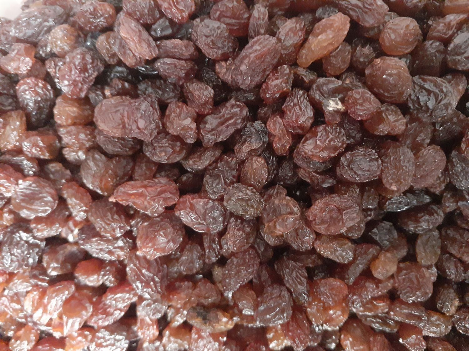 پخش انواع کشمش، با تخفیفات ویژه|خوردنی و آشامیدنی|تاکستان, |دیوار