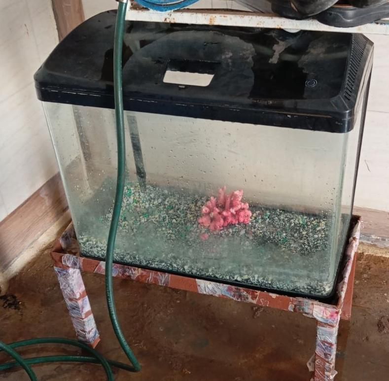 آکواریوم شرکتی کاملا سالم|ماهی|مسجد سلیمان, |دیوار