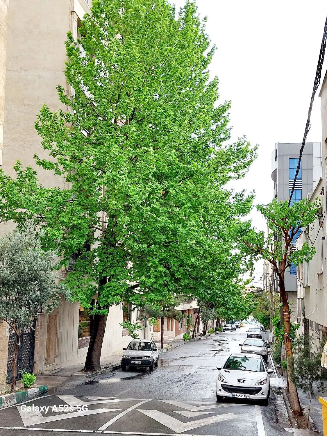 ۳۰۰ متر دونبش بالای جلال|فروش زمین و ملک کلنگی|تهران, امیرآباد|دیوار