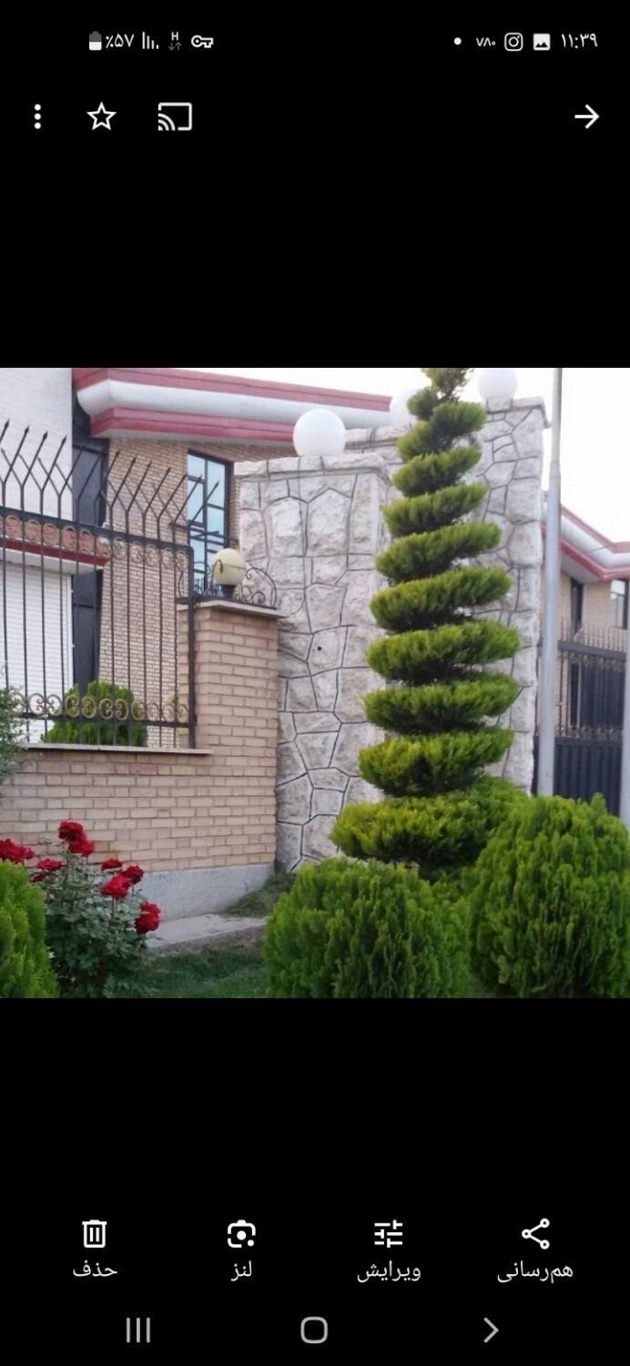 خدمات باغبانی ( گل وگیاه باغچه ای، آپارتمانی)|خدمات باغبانی و درختکاری|تهران, نیروی هوایی (پیروزی)|دیوار