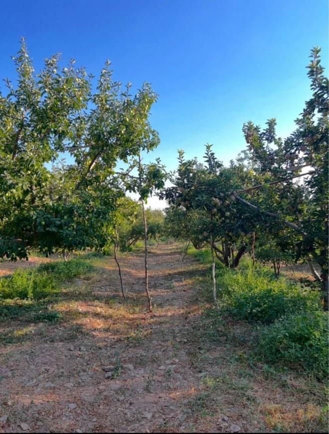 فروش۲۷۵متر  باغ زمین دیوارکشی+سند+اقساط چکی جابان|فروش زمین و ملک کلنگی|دماوند, |دیوار