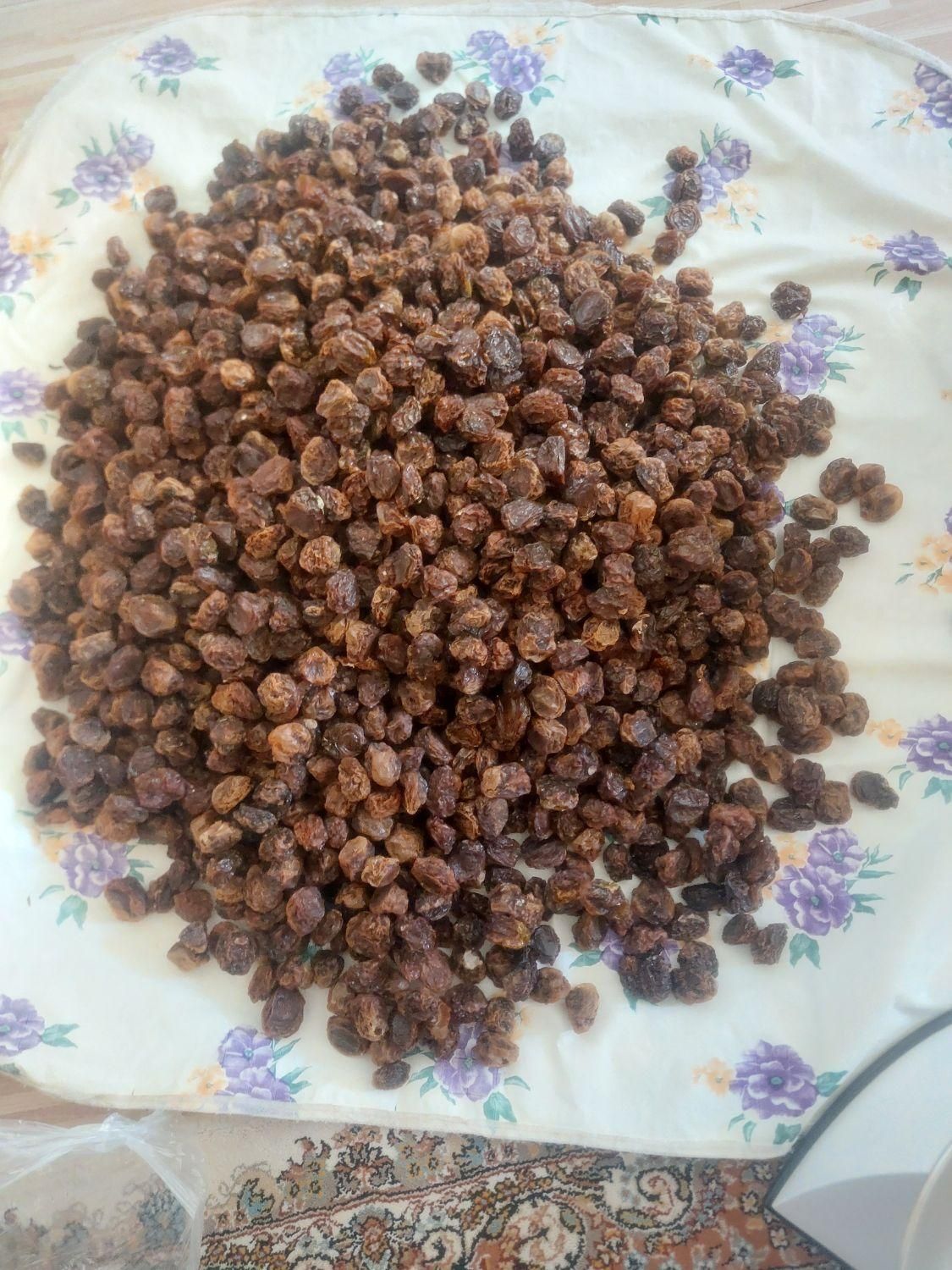 الو امسال|خوردنی و آشامیدنی|اصفهان, کشاورزی|دیوار