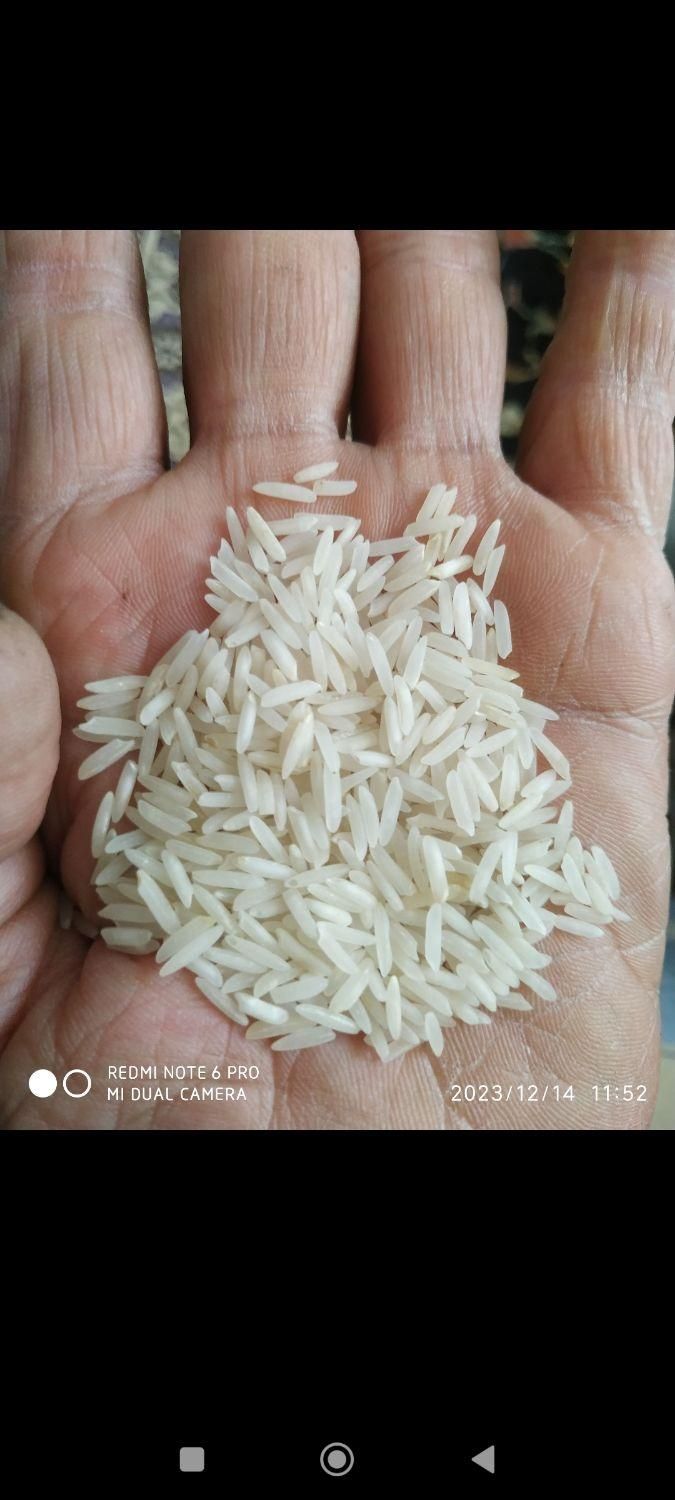 برنج‌باچک‌|خوردنی و آشامیدنی|تبریز, |دیوار