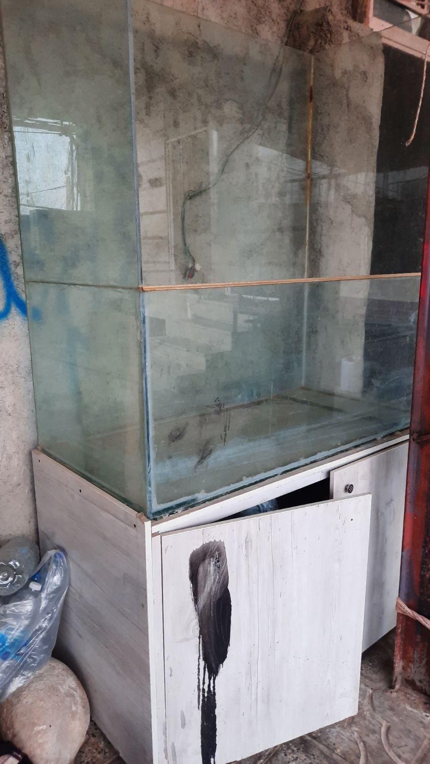 آکواریوم|ماهی|هندمینی, |دیوار