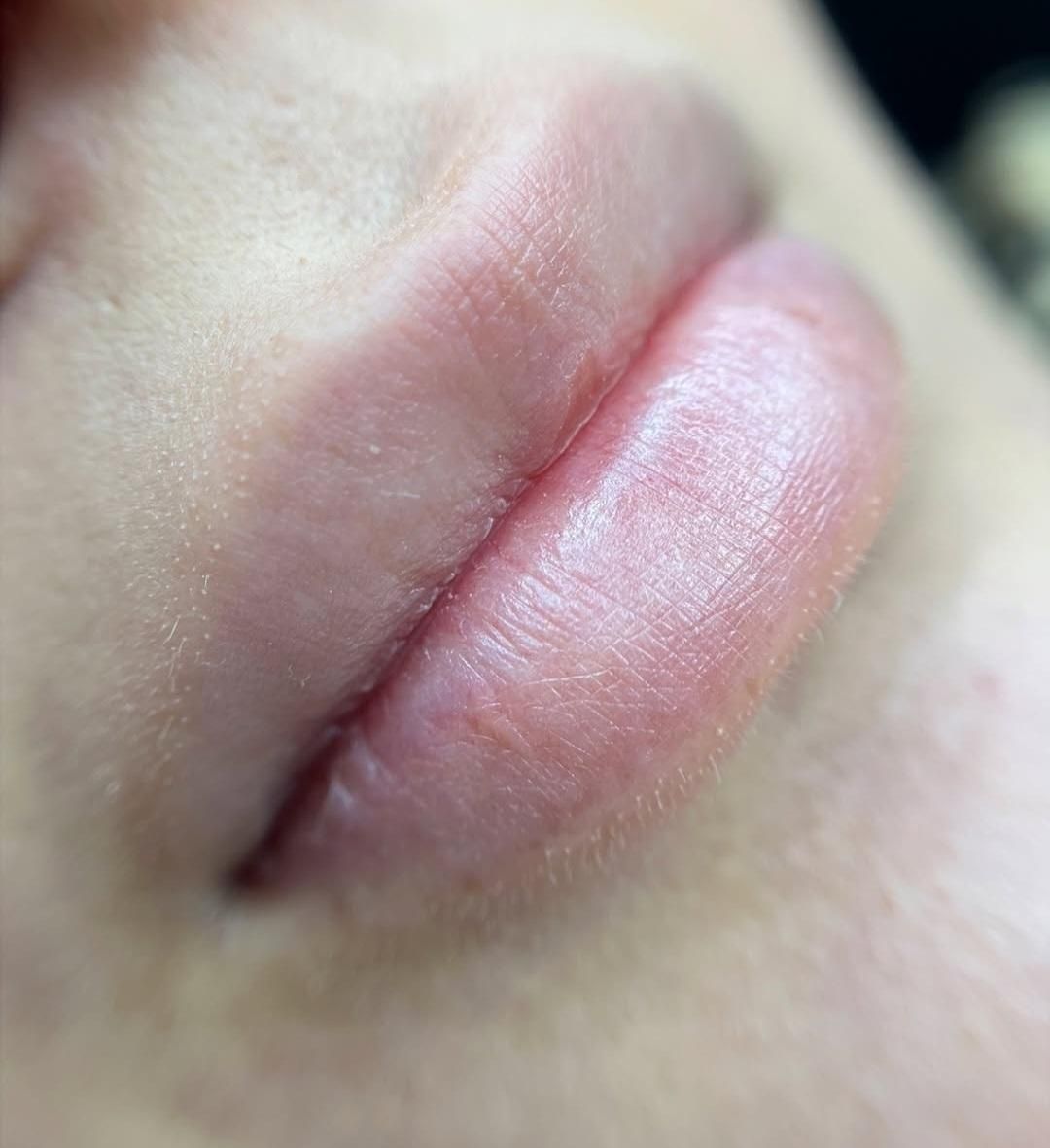 شیدینگ لب با کمترین هزینه با بهترین مواد|خدمات آرایشگری و زیبایی|اردبیل, |دیوار