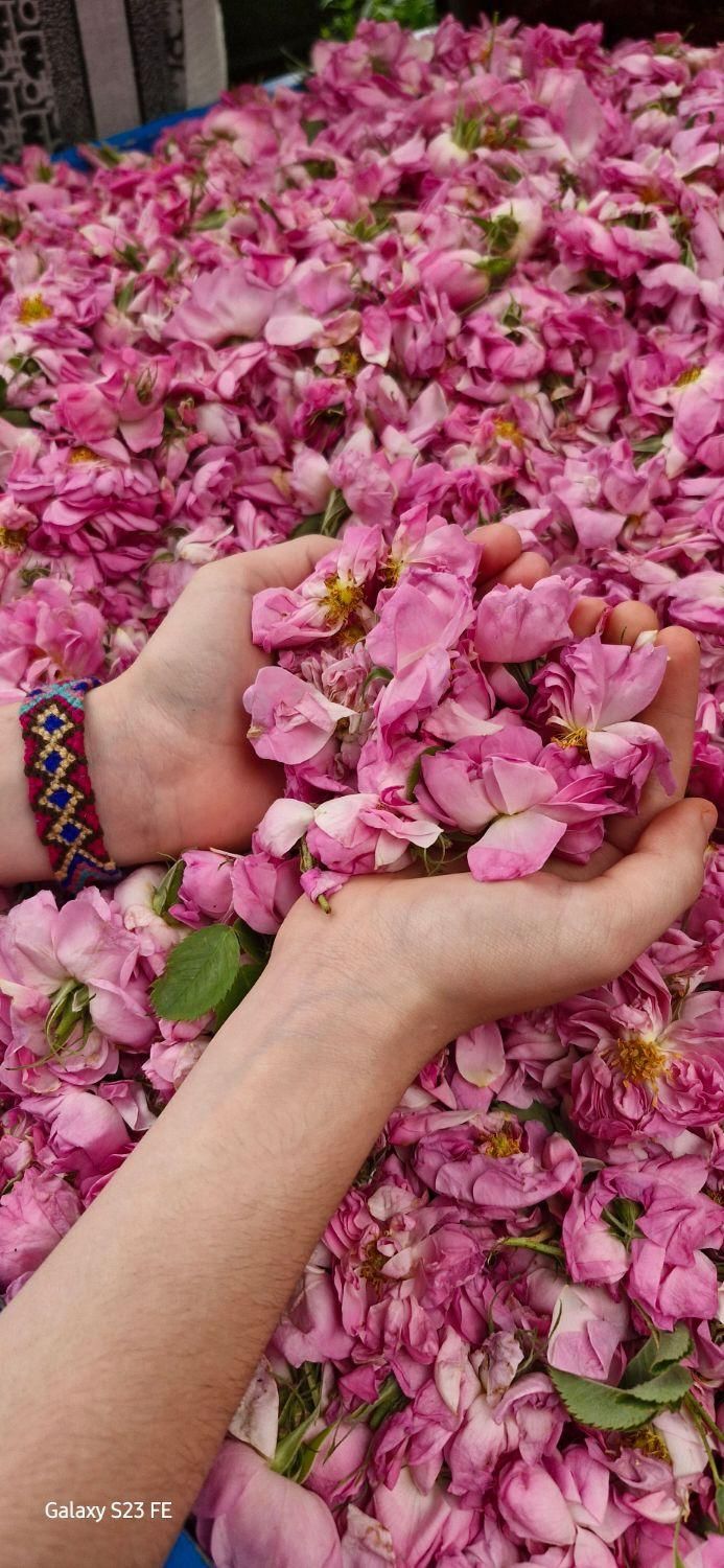 عصاره زعفران آترینا|عمده‌فروشی|ری, |دیوار