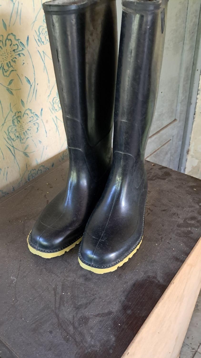 چکمه باغبانی|کیف، کفش، کمربند|تنکابن, |دیوار