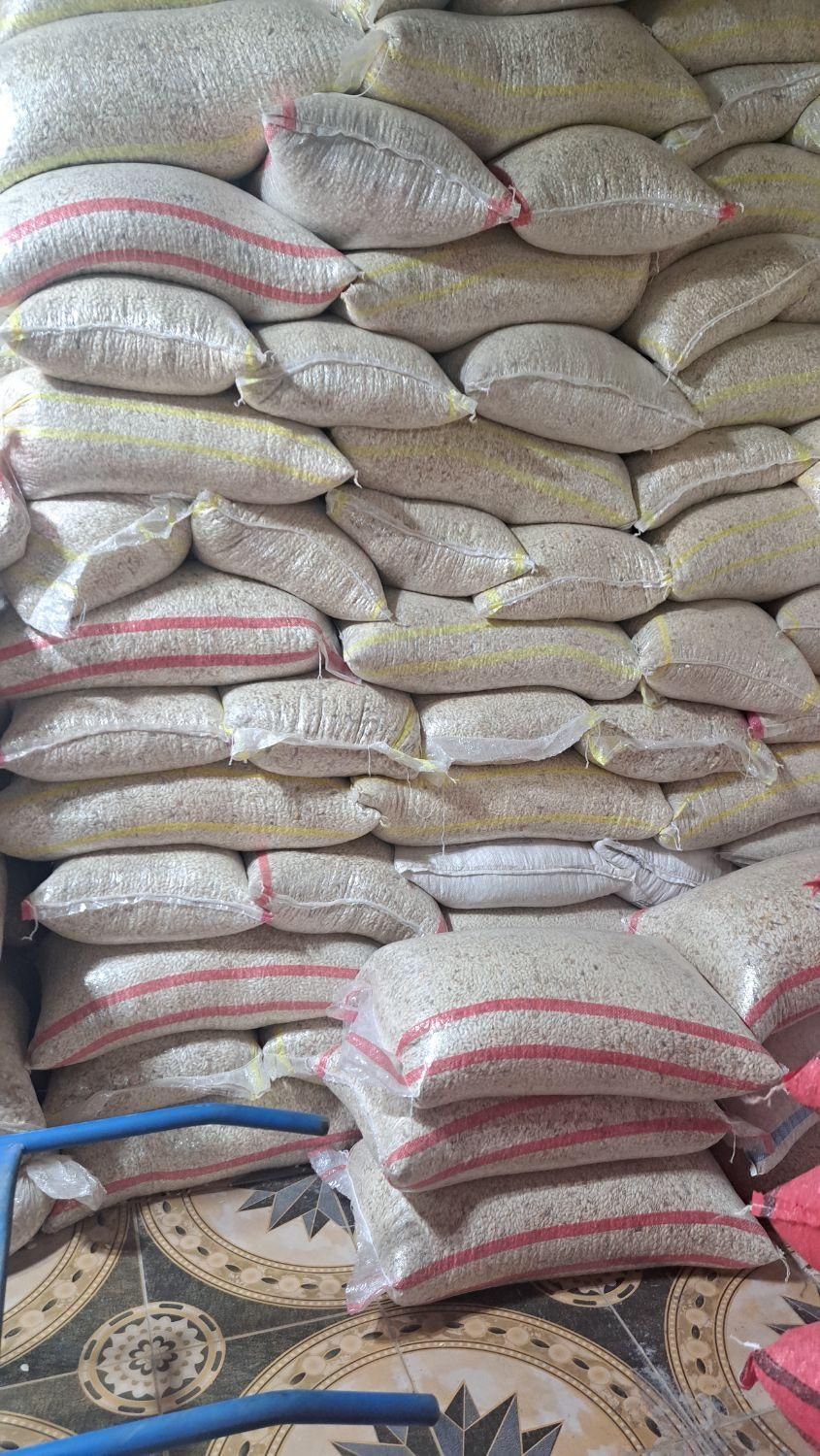 تخمه کدو گوشتی|خوردنی و آشامیدنی|اصفهان, ناژوان|دیوار