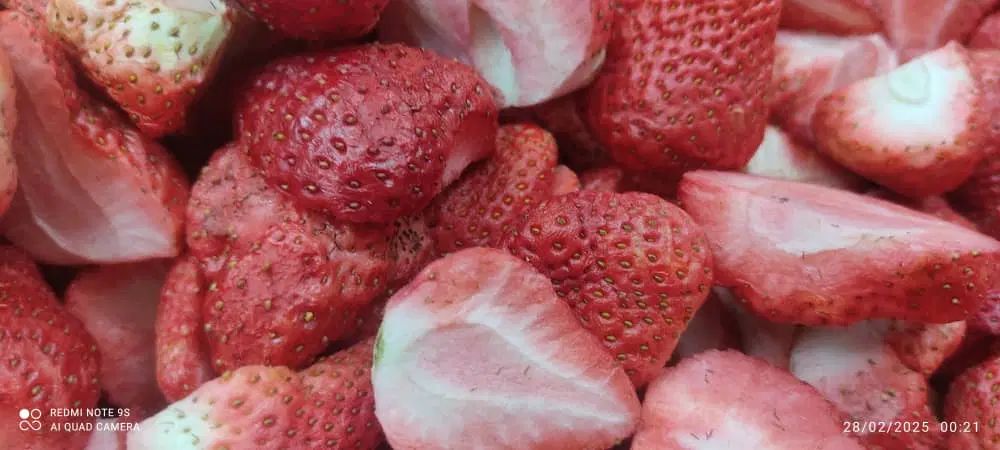 فریزدرایر|خوردنی و آشامیدنی|تهران, آرارات|دیوار