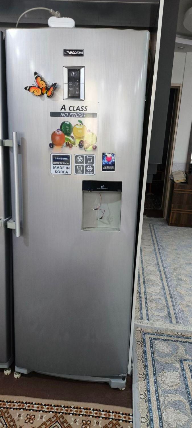 مفت العان 100 ملیون میگد اسنوا را|یخچال و فریزر|فلاورجان, |دیوار