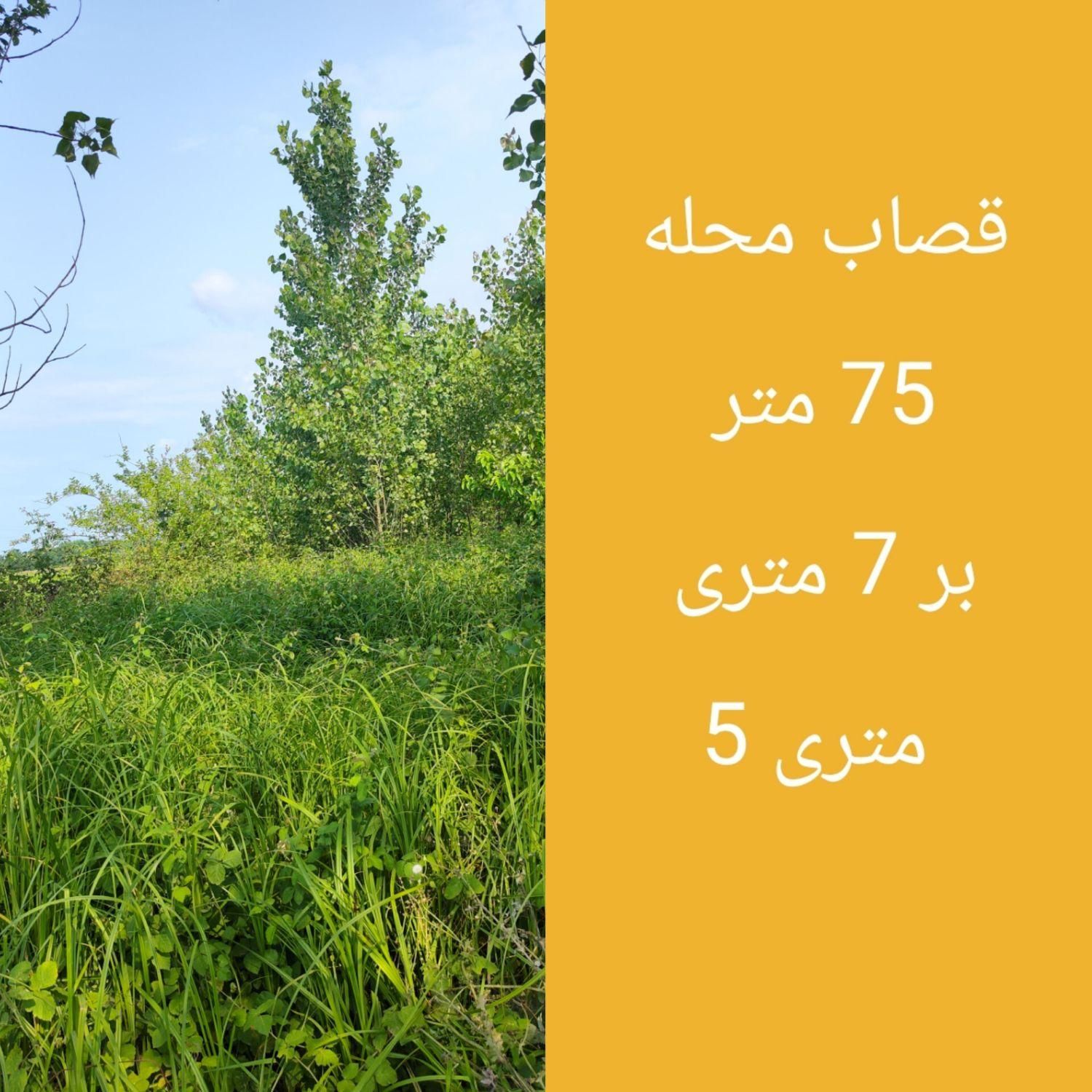 ۱۵۵ متر دیزبن خیابان بهار مسکونی و فایل های|فروش زمین و ملک کلنگی|لاهیجان, شیخ زاهد|دیوار