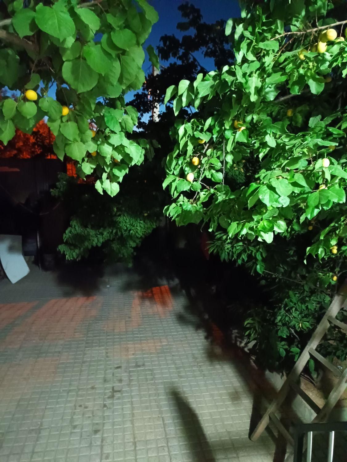 اجاره روزانه/هفتگی/ماهانه آپارتمان ۵۰ متری|اجارهٔ کوتاهمدت آپارتمان و سوئیت|سنندج, |دیوار