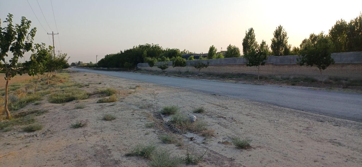 زمین کشاورزی متراژ۷۱۵ متر|فروش زمین و ملک کلنگی|مشهد, گلبرگ شمالی|دیوار