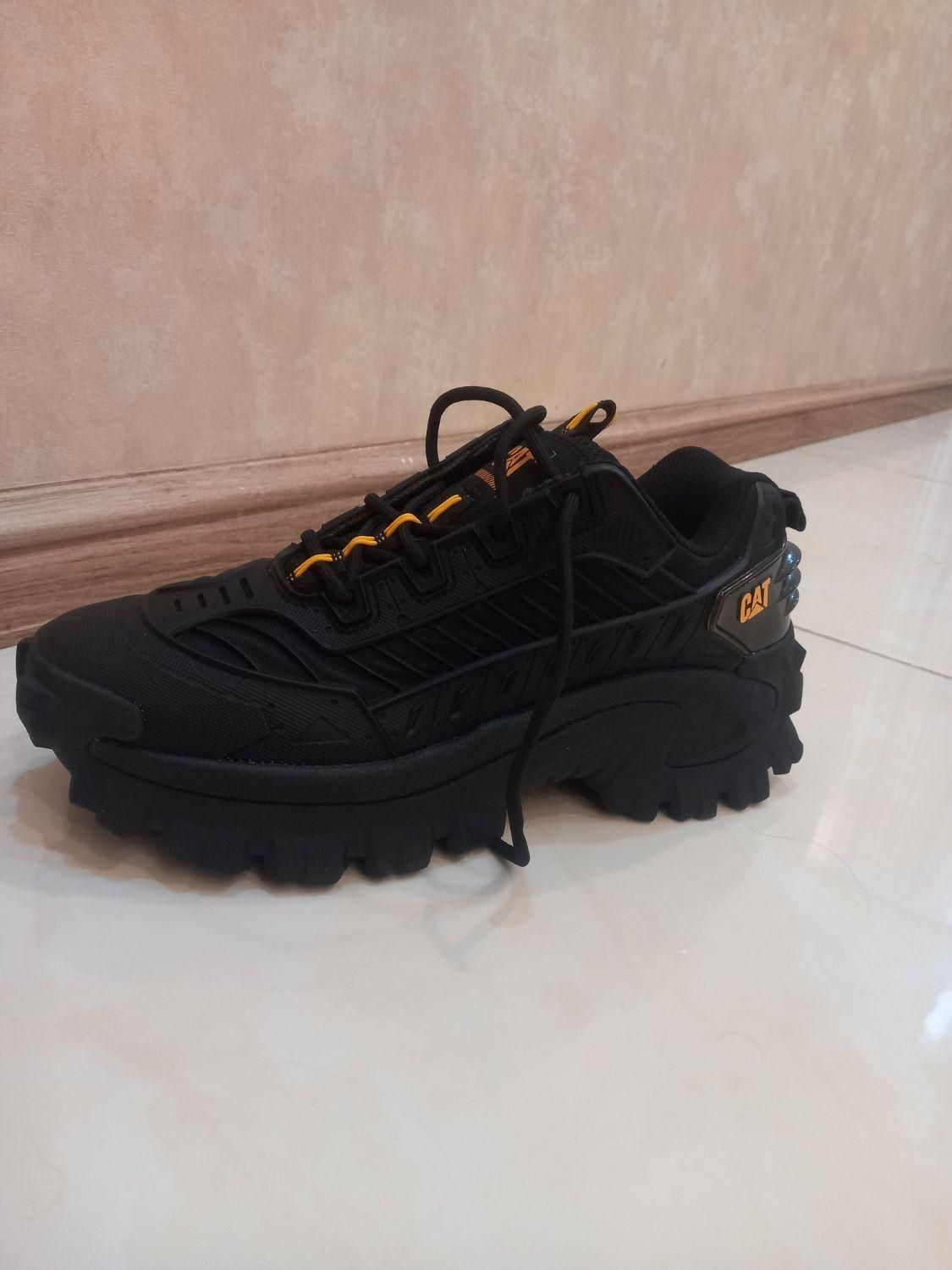 کفش کت اصل|کیف، کفش، کمربند|شیراز, بعثت|دیوار