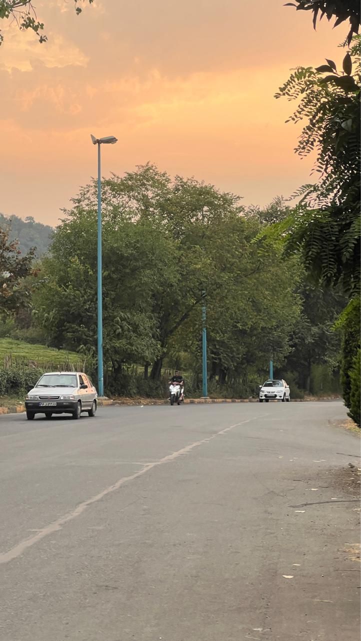 ۲۴۰ متر زمین شیخ زاهد|فروش زمین و ملک کلنگی|لاهیجان, شیخ زاهد|دیوار