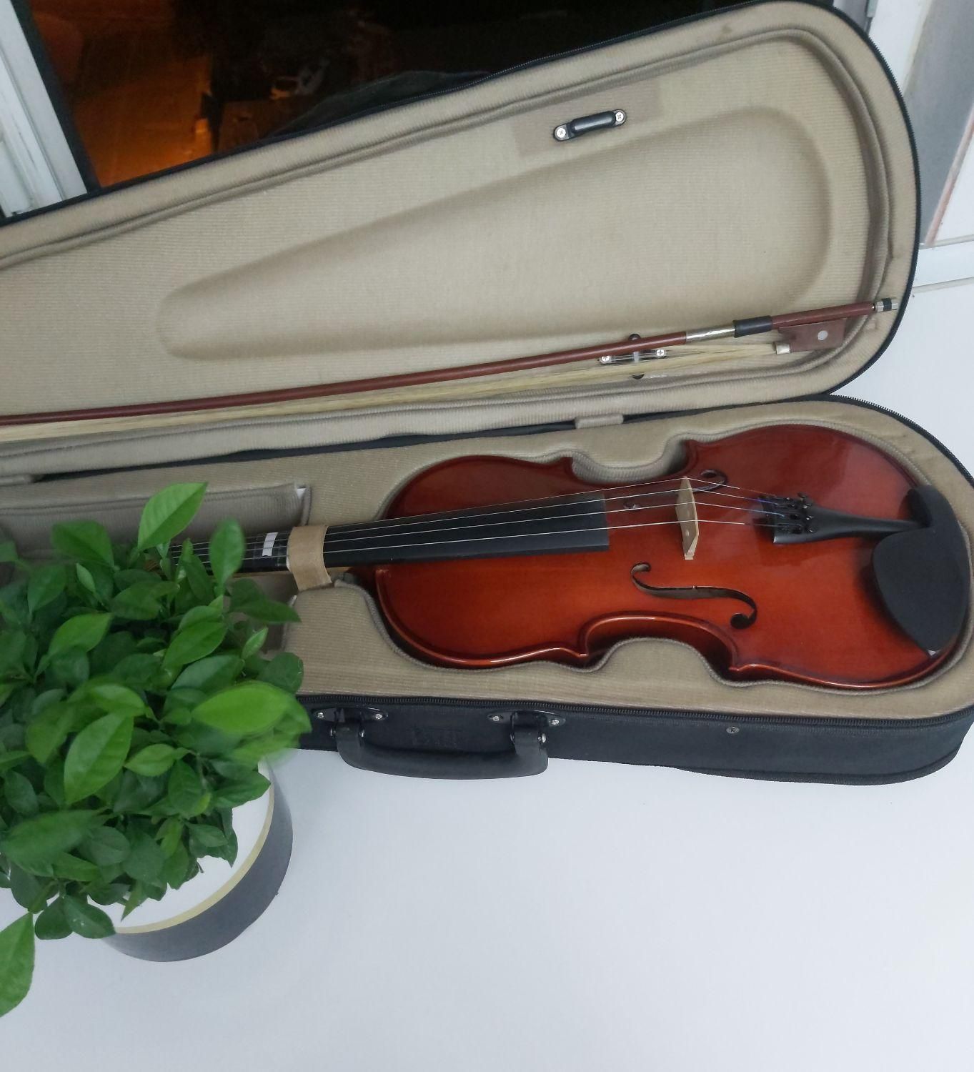 ویولن AMATI سایز 4/4 نو|ویولن|کرمانشاه, |دیوار