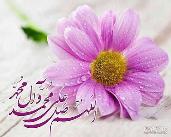 مدرسه شاهد پسرانه|خدمات آموزشی|زابل, |دیوار