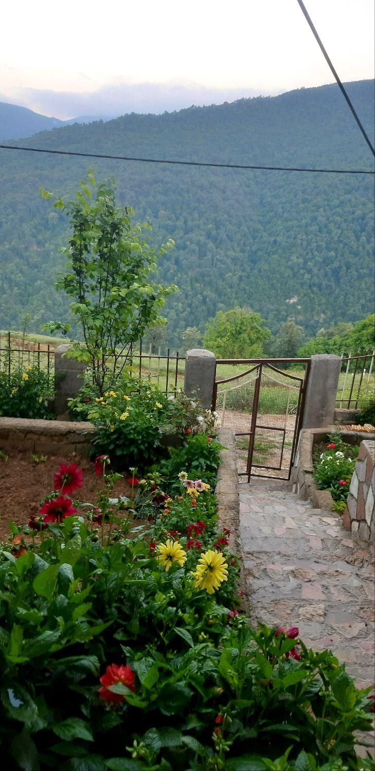 ویلا کوهستانی وجنگلی افراتخته|اجارهٔ کوتاه‌مدت ویلا و باغ|علی‌آباد کتول, |دیوار