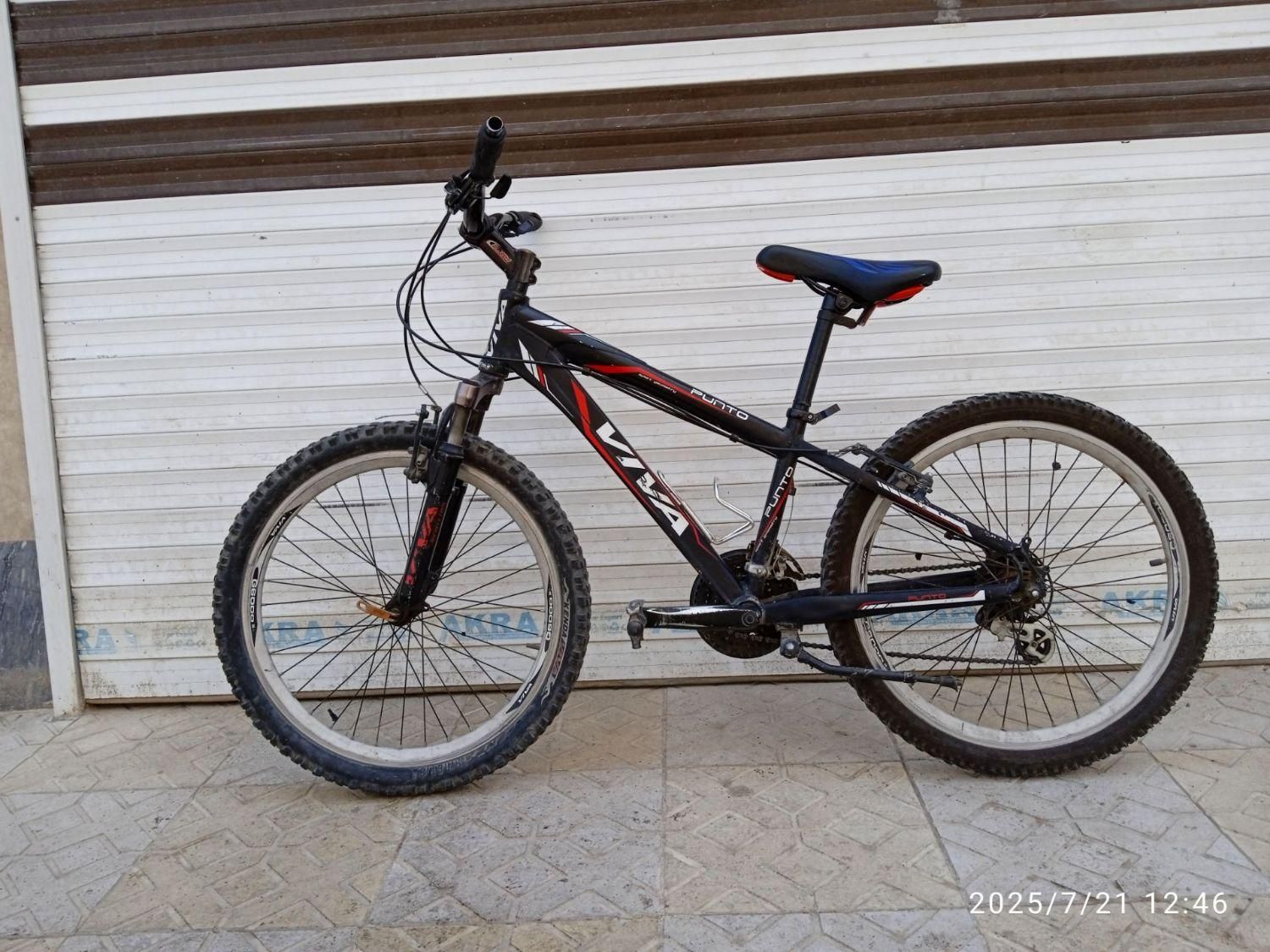 دوچرخه حرفه‌ای ویوا اصل|دوچرخه، اسکیت، اسکوتر|اردبیل, |دیوار