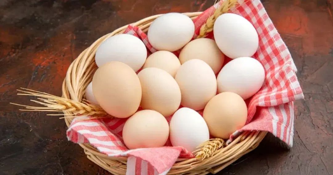 شکستن تخم مرغ برای دفع چشم زخم و انرژی منفی|خدمات پذیرایی، مراسم|تربت جام, زیباکنار|دیوار
