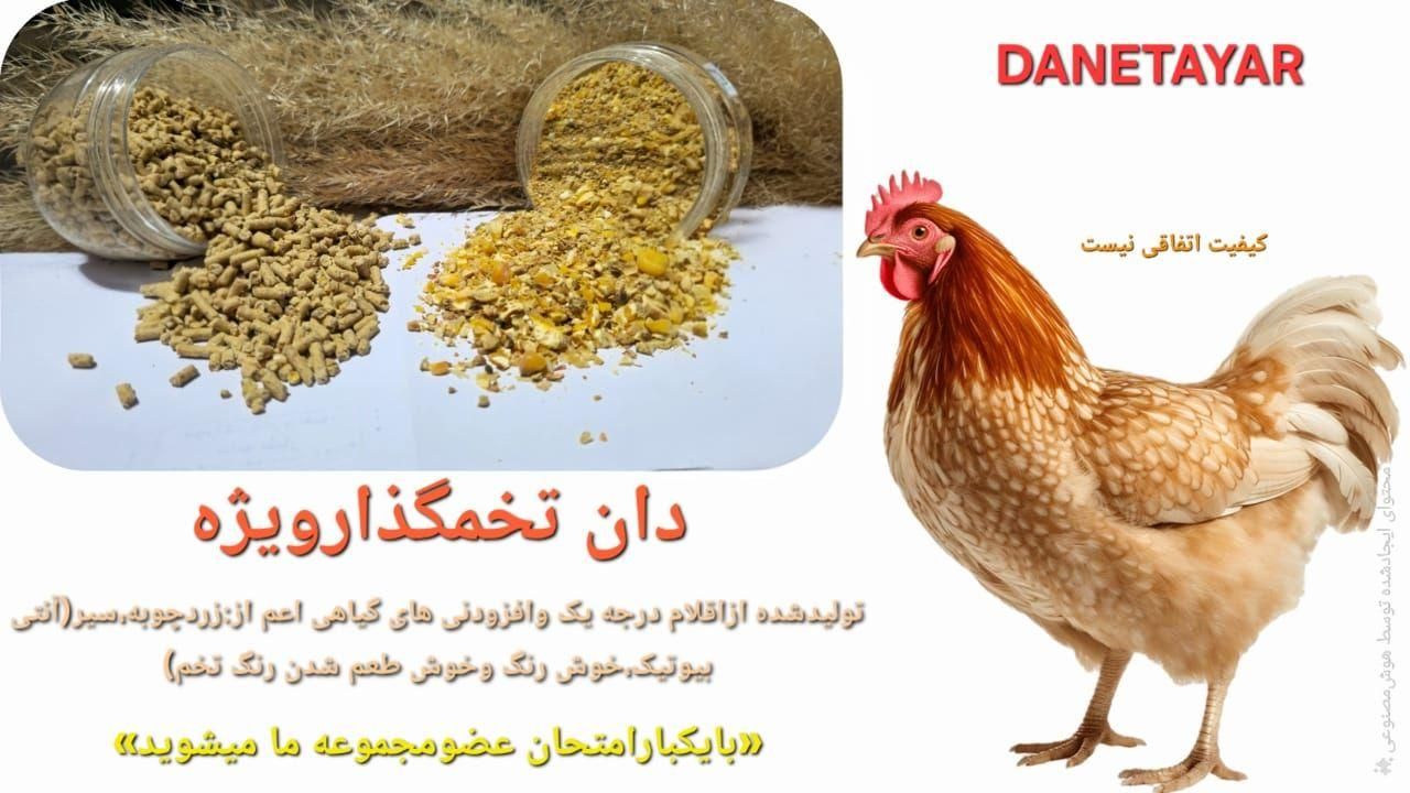 خوراک دان مرغ بومی وصنعتی|لوازم جانبی حیوانات|کرج, آق تپه|دیوار