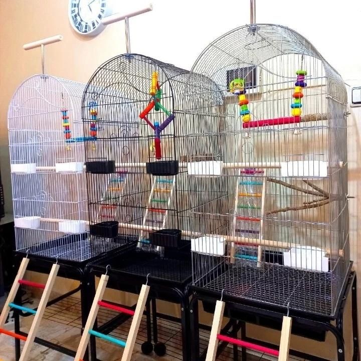 قفس بزرگ کوچک عروس هلندی قناری مینا فنج مرغ عشق|لوازم جانبی حیوانات|کرمانشاه, |دیوار