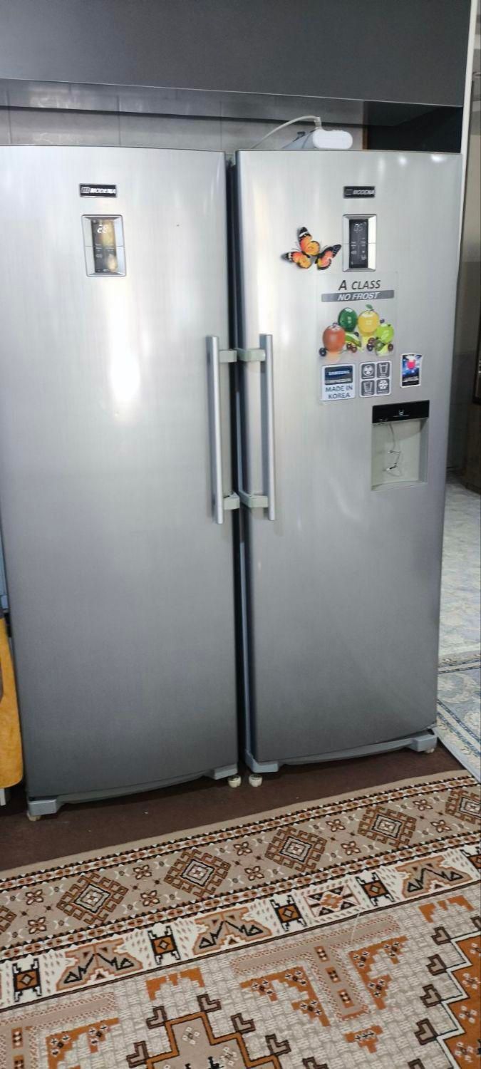 مفت العان 100 ملیون میگد اسنوا را|یخچال و فریزر|فلاورجان, |دیوار