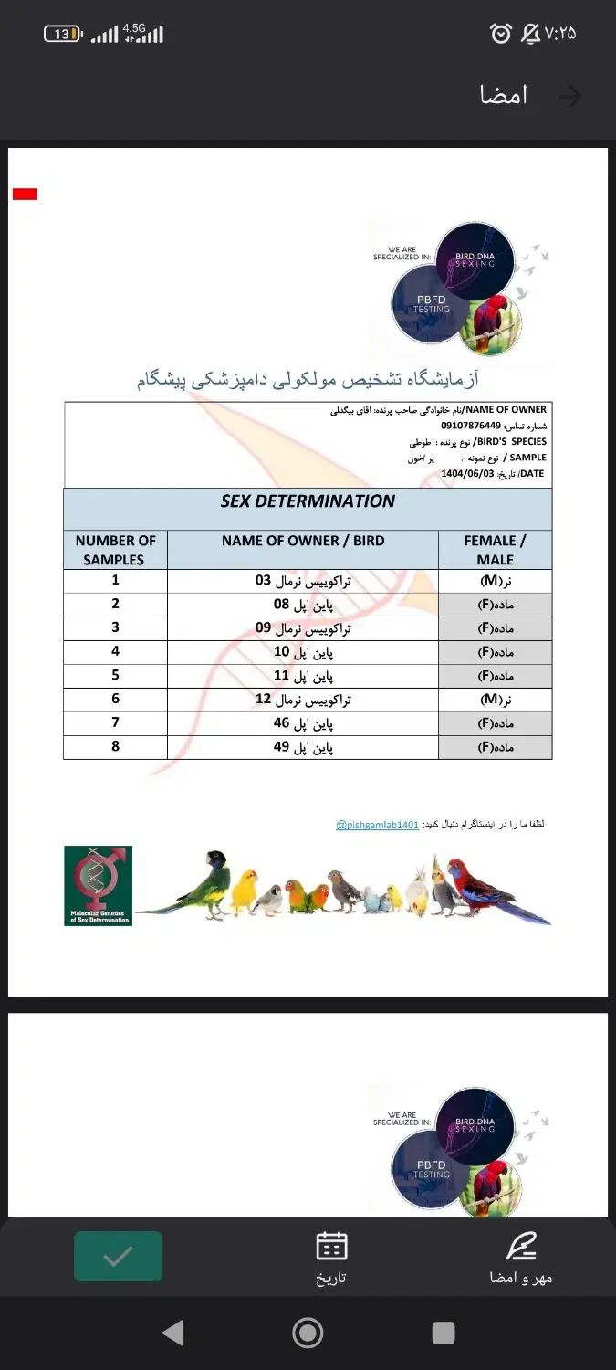 گرینچیک تراکوییس با تست پاین اپل|پرنده|تهران, هوانیروز|دیوار