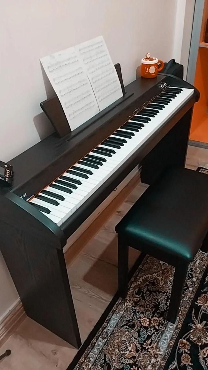 پیانو|پیانو، کیبورد، آکاردئون|تبریز, |دیوار