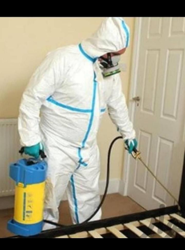 سمپاشی منزل تخصیصی و تضمینی صدرصد|خدمات نظافت|سلمانشهر, |دیوار