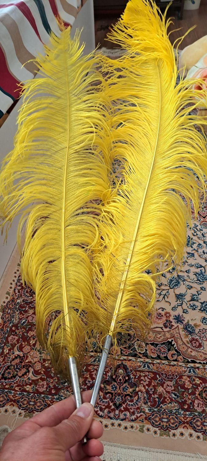 حیوان علامت (نقره وطلا کوب ساده شال کتیبه وپر)|کلکسیون اشیاء عتیقه|رشت, دیلمان|دیوار