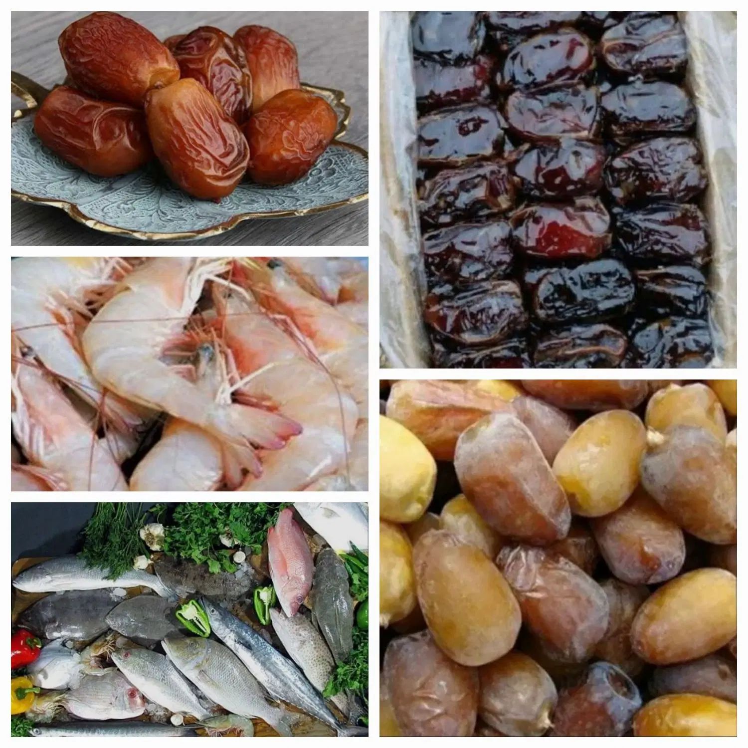 *محصولات بوشهر*|خوردنی و آشامیدنی|تهران, اقدسیه|دیوار
