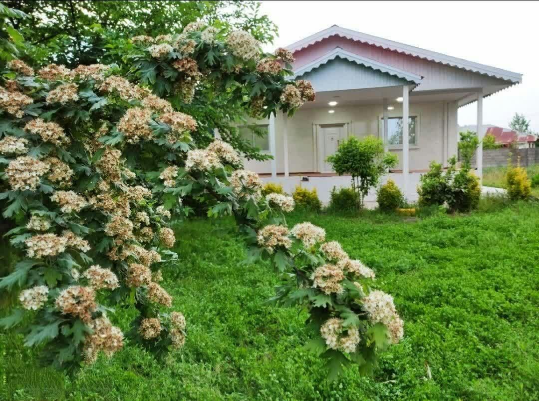 اجاره ویلای روستایی با دو هزار متر حیاط اختصاصی|اجارهٔ کوتاه‌مدت ویلا و باغ|شاندرمن, |دیوار