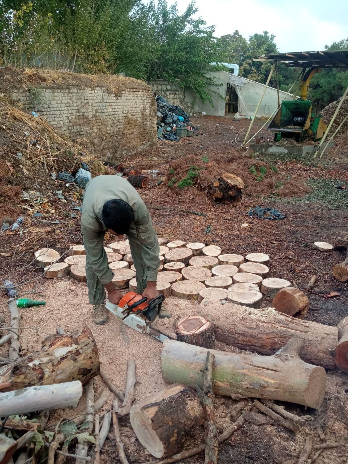 خدمات باغبانی و فضای سبز|خدمات باغبانی و درختکاری|قدس, شهر‌قدس|دیوار