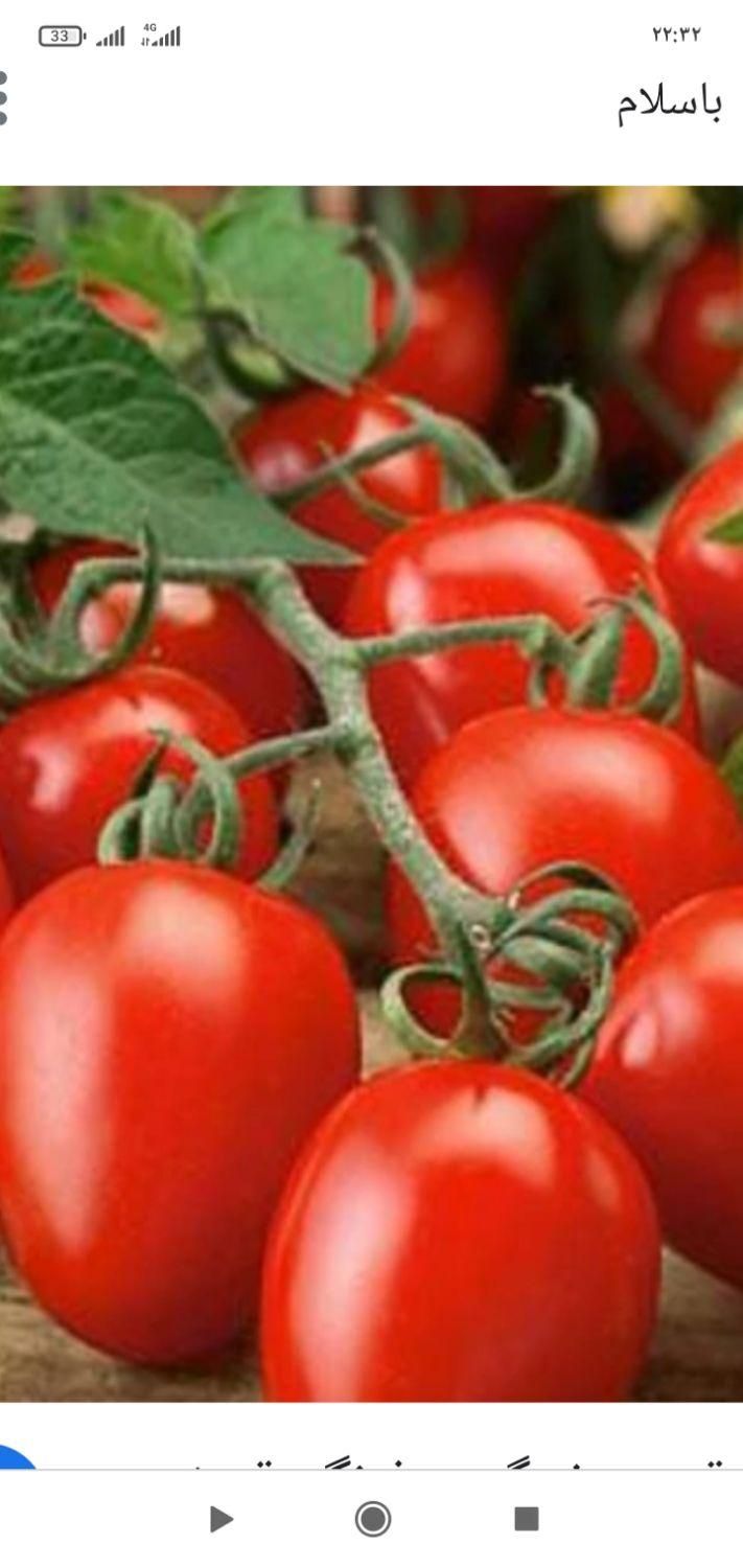 سرکارگر امور کشاورزی انبار سرد خانه آقای سنجابی|خدمات باغبانی و درختکاری|کرمانشاه, |دیوار