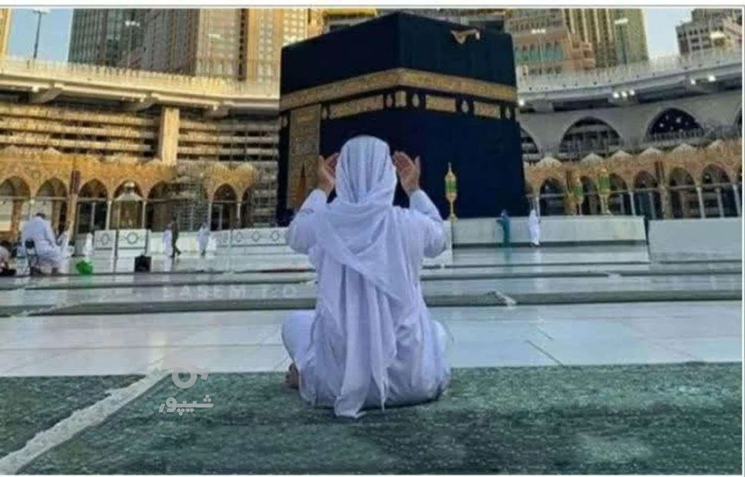 فروش دو فقره فیش حج تمتع ۱۳۸۶/۱۱/۱۱|تور و چارتر|تهران, هروی|دیوار