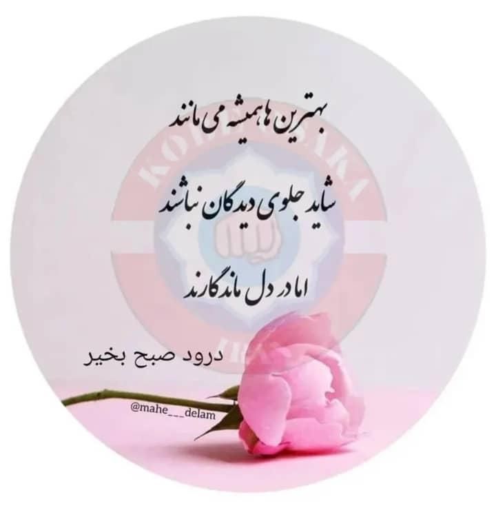 کارواش کار حرفه ای نیازمندیم|استخدام سرایداری و نظافت|تهران, امام حسین(ع)|دیوار