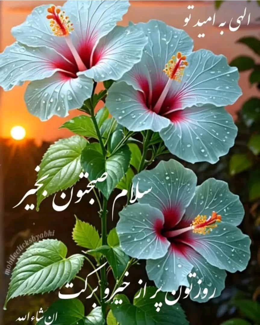 گل رز آبی رها|گل مصنوعی|سقز, |دیوار
