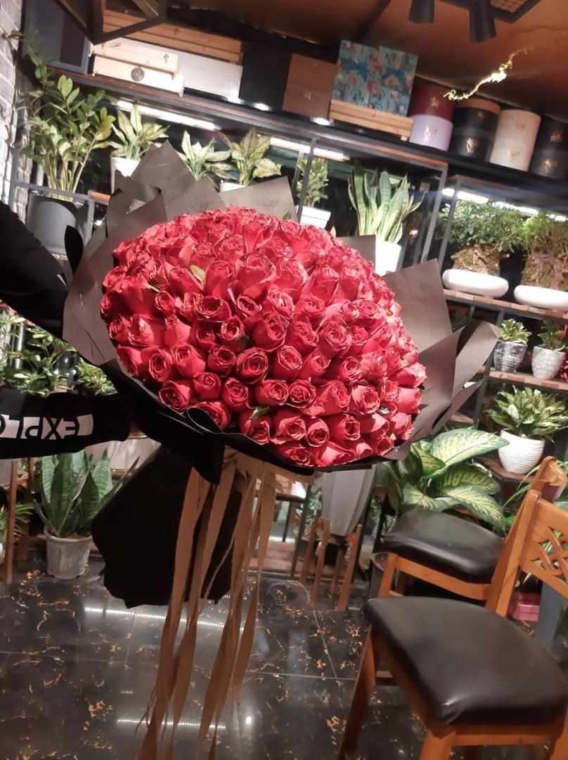 پخش عمده گل رز هلندی|گل و گیاه طبیعی|مشهد, هنرستان|دیوار
