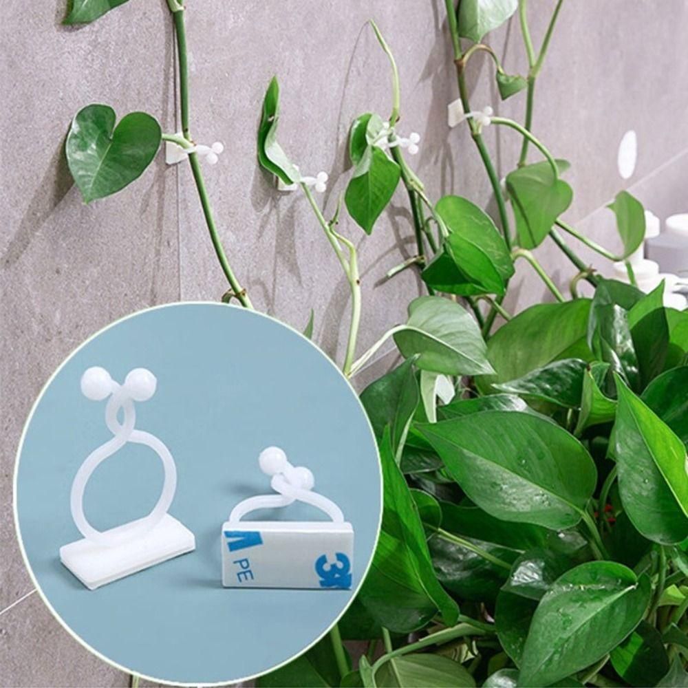 گیره پتوس و نظم دهنده چسبک دار سیم ۸عددی|گل و گیاه طبیعی|مشهد, سجادیه|دیوار