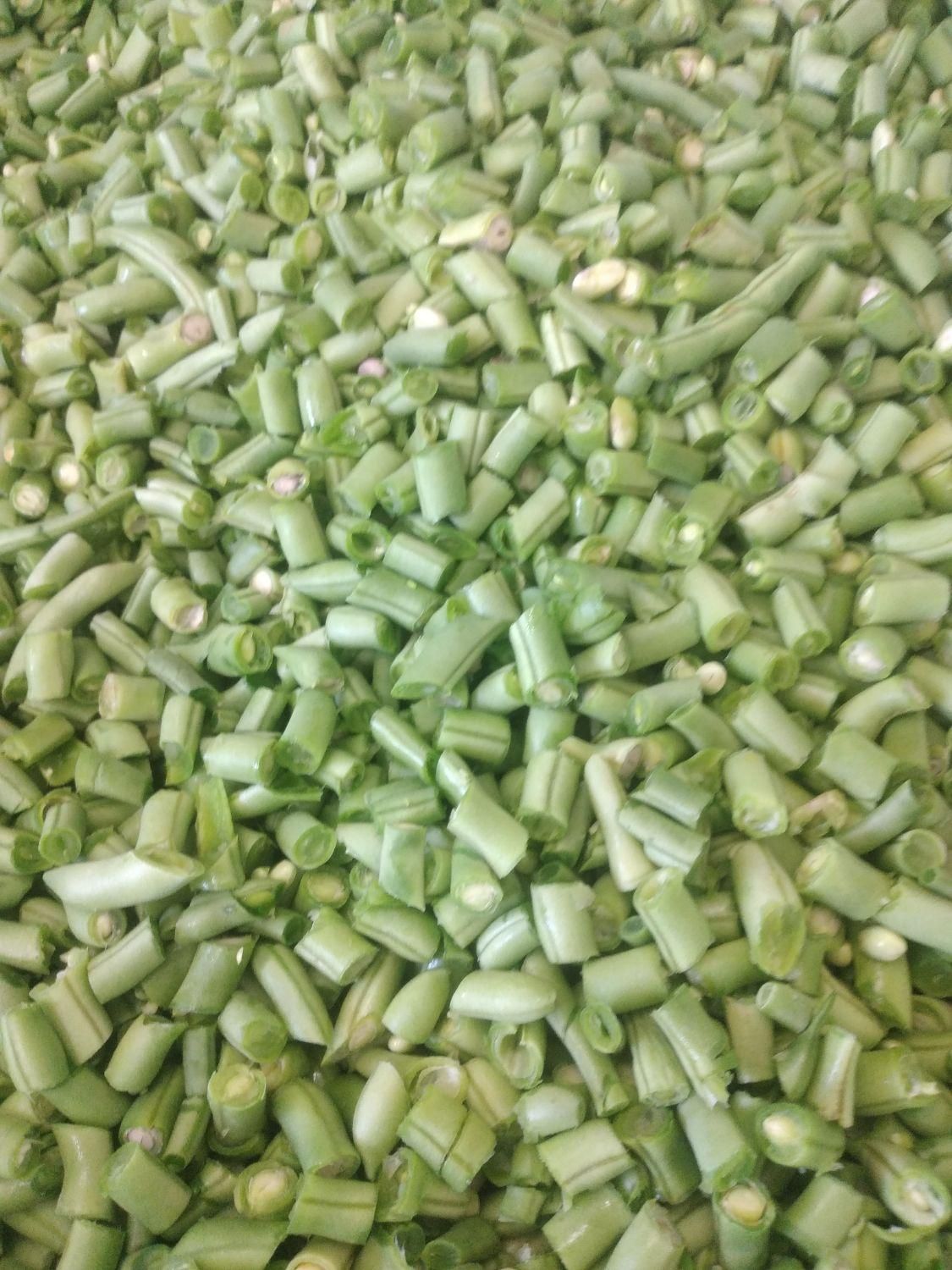 خردکردن لوبیا سبز|عمدهفروشی|اصفهان, ارداجی|دیوار