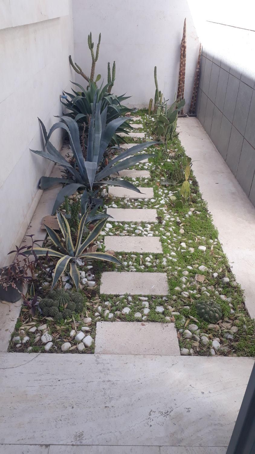 باغ.باغچه.گل و گلدون در منزل و محل کار|خدمات باغبانی و درختکاری|شیراز, عفیفآباد|دیوار