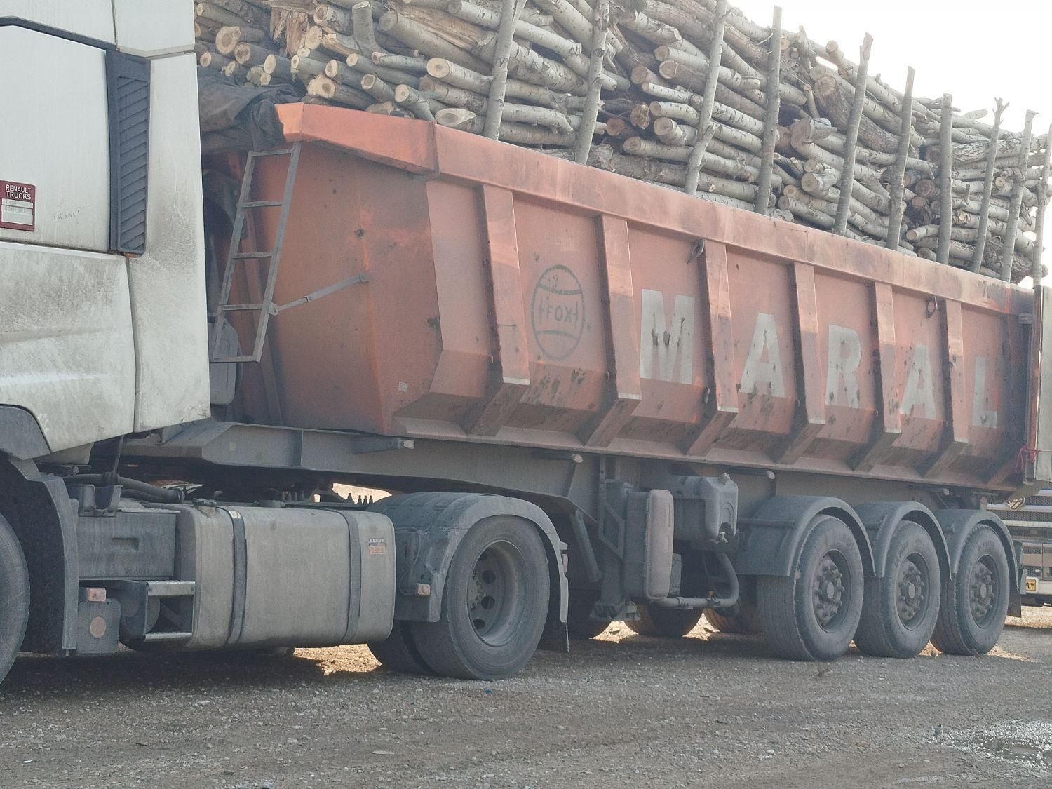 خرید چوب اکالیپتوس با بالاترین قیمت|خدمات باغبانی و درختکاری|رامهرمز, |دیوار