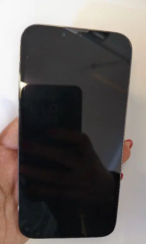اپل iPhone 13 Pro با حافظهٔ ۲۵۶ گیگابایت|موبایل|تهران, سوهانک|دیوار